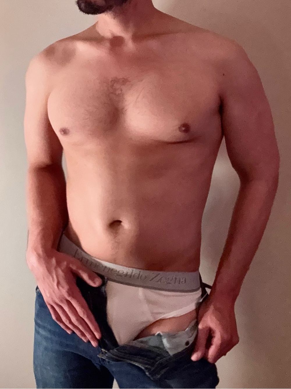 Zegna Men's Briefs in Light Gray - Comfortable Everyday Underwear